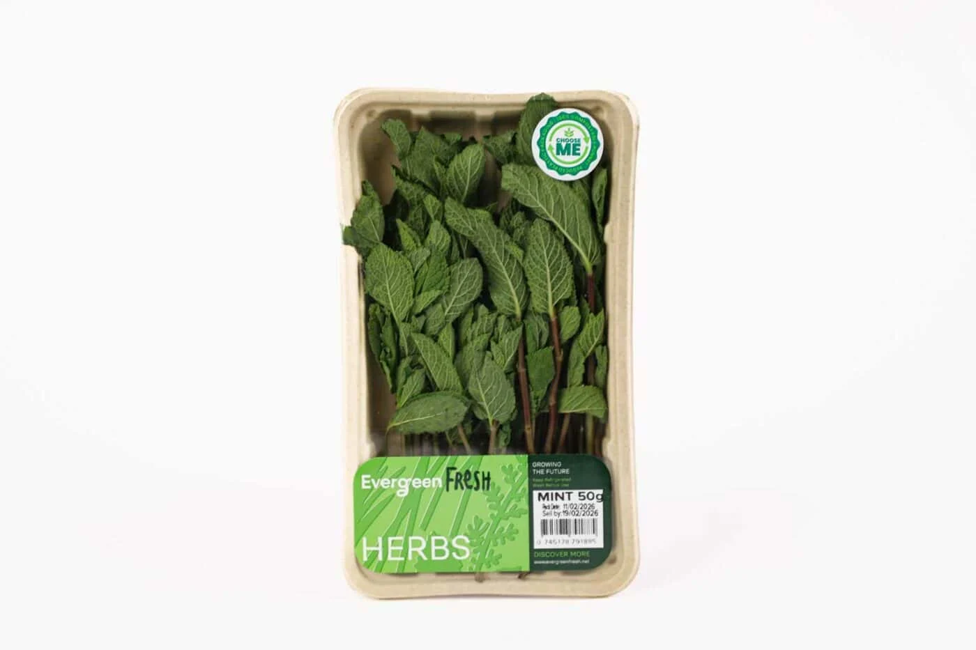Evergreen Fresh Mint – 50g