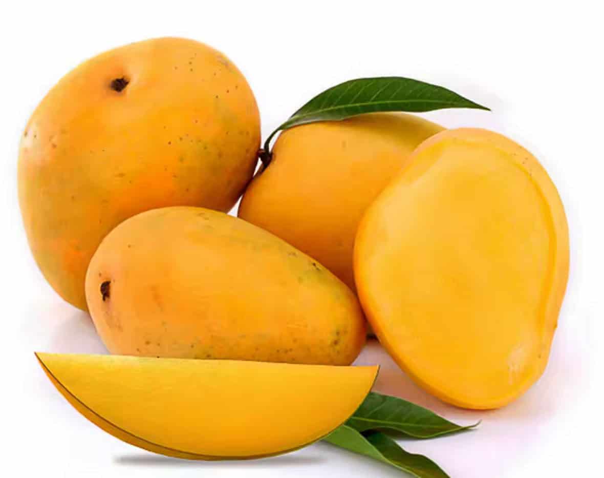 Keitt Ripe & Ready Mangoes – 1Kg