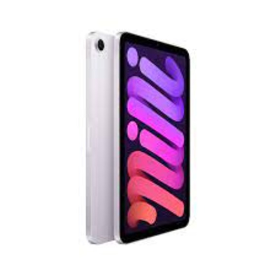 Apple iPad Mini 2021 6th Gen (Wi-Fi Only) - Techsavvy Solutions
