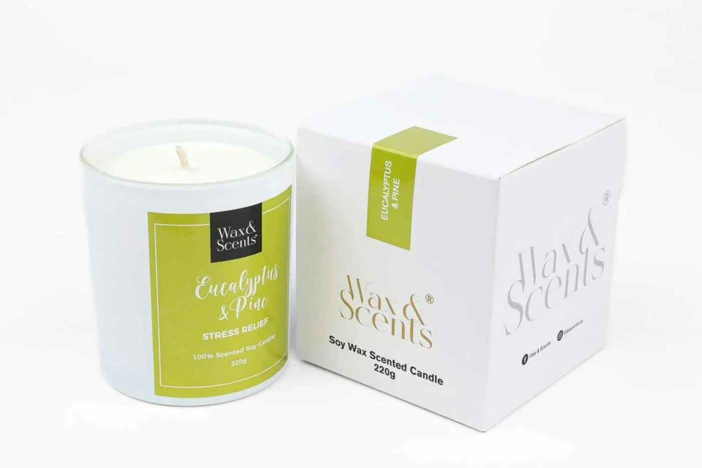 Wax & Scents Eucalyptus & Pine Candle – 220g