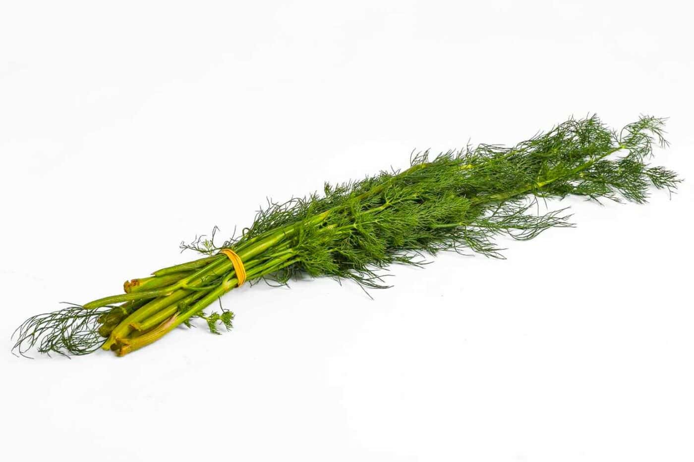 Limuru Dill – 50g (Bunch)