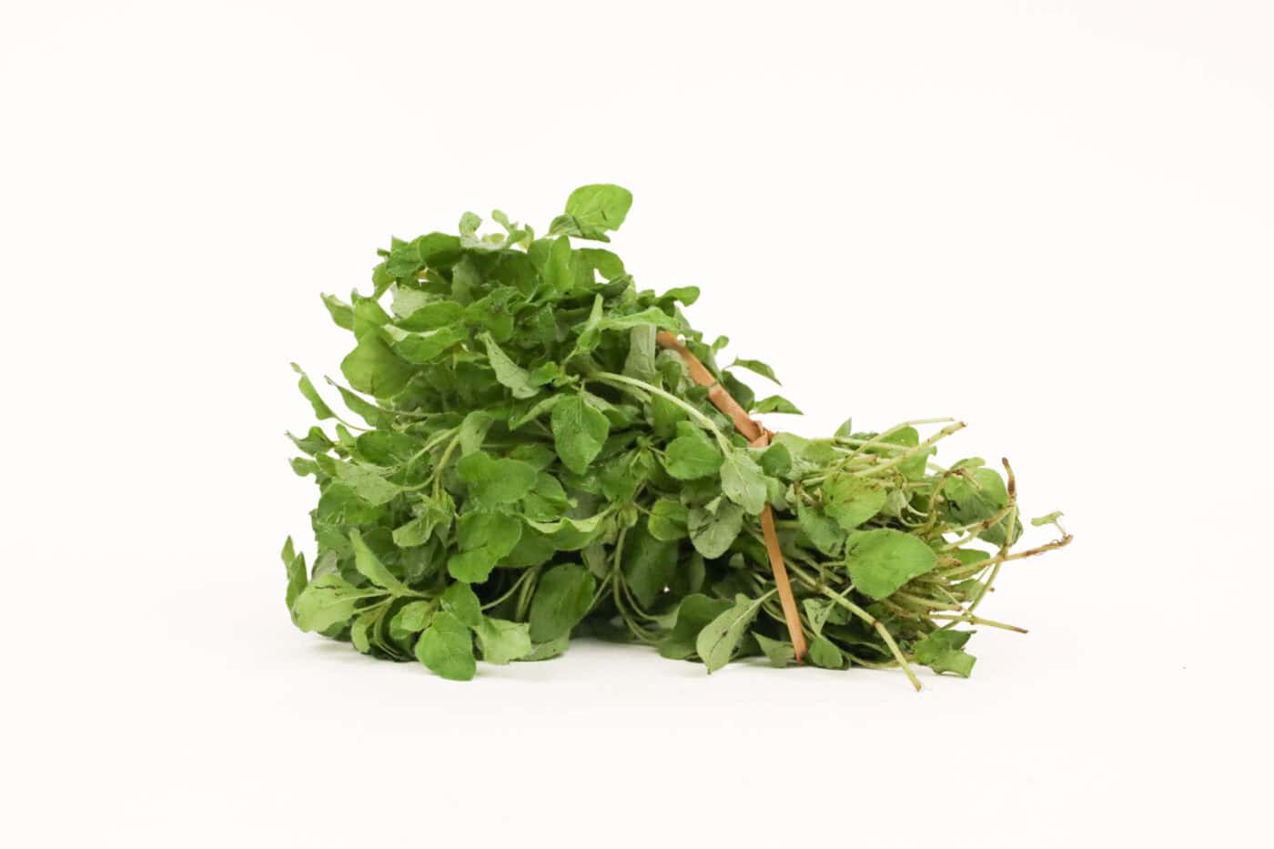 Limuru Oregano – 50g Bunch