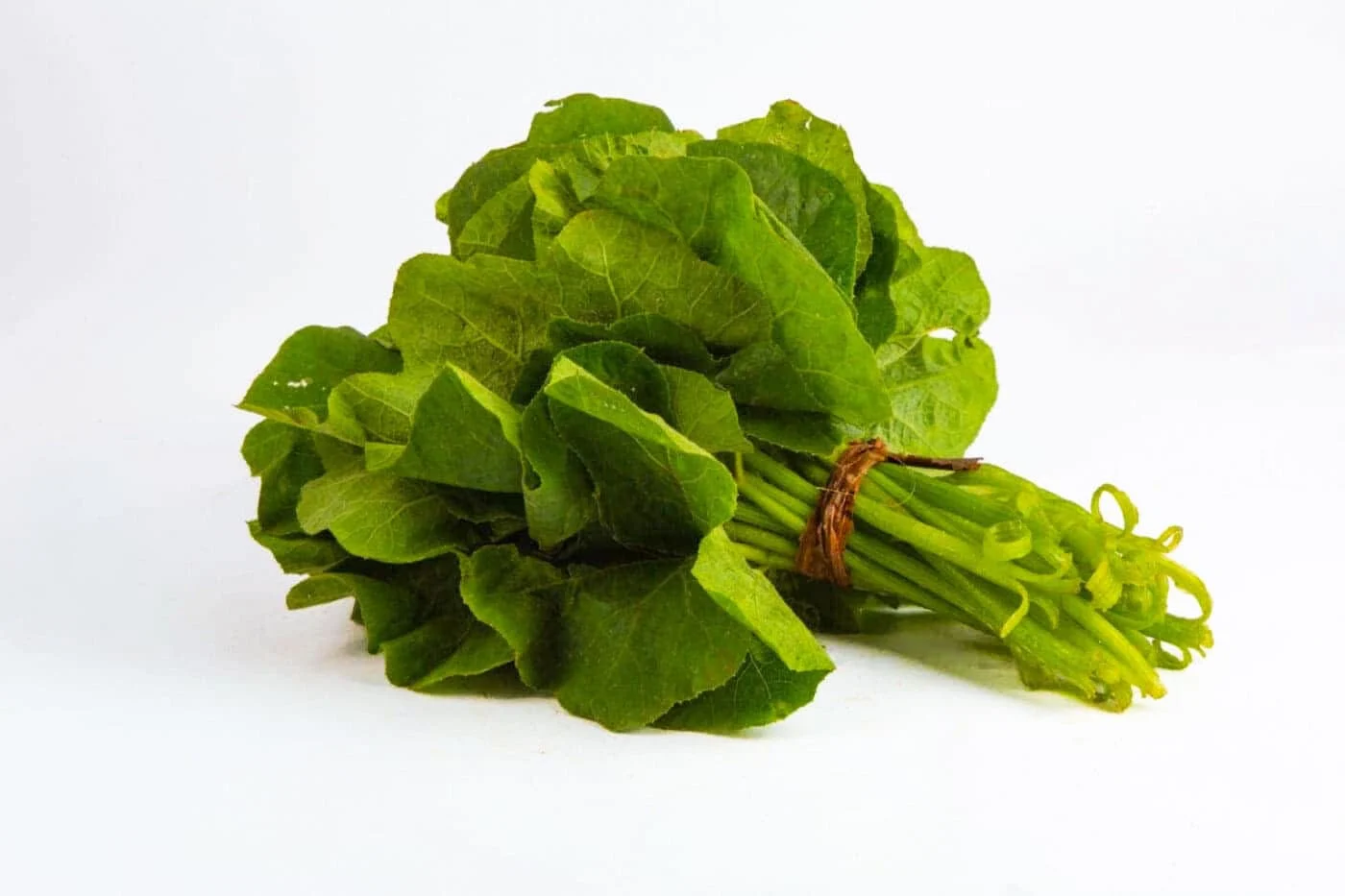 Organic Pumpkin Leaves – 250g Bunch