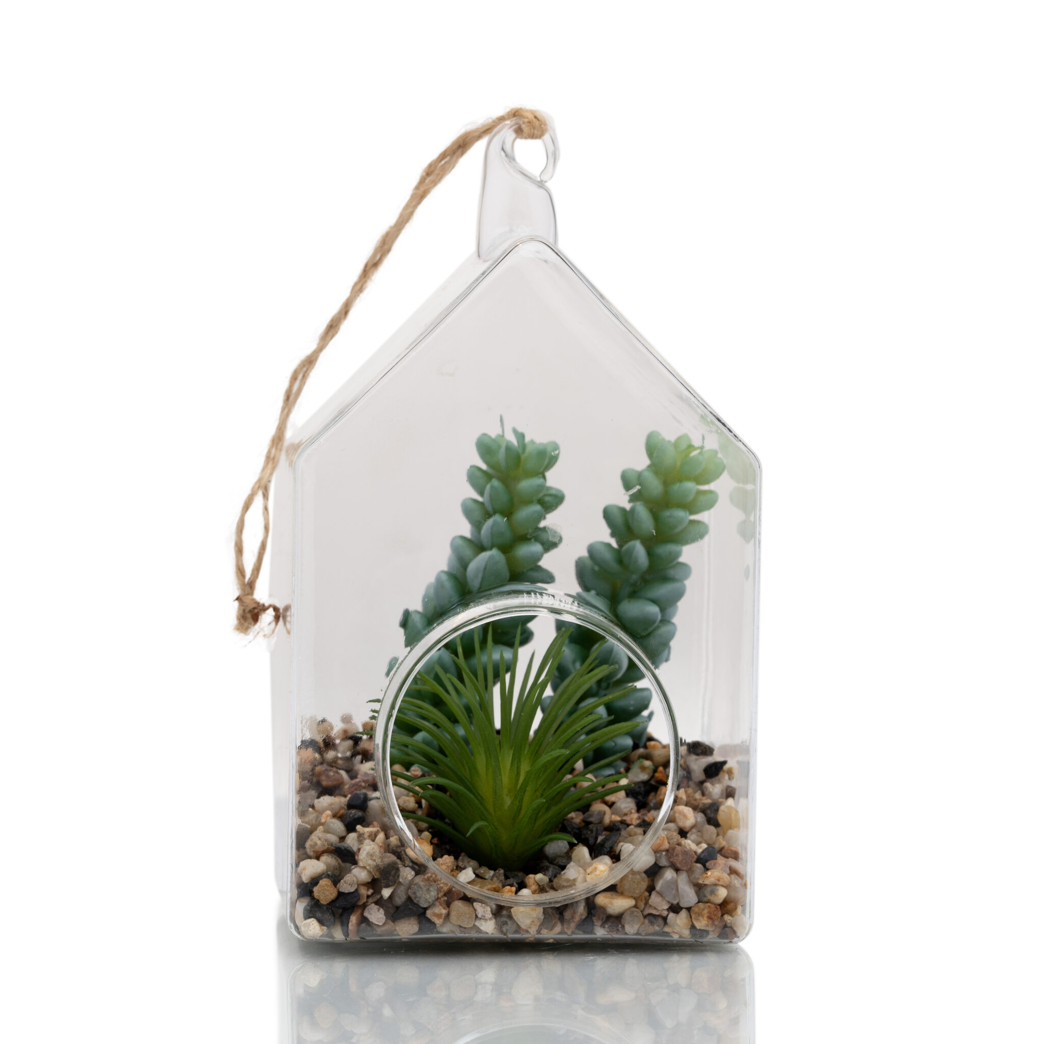 Hanging Glass Terrarium – H02FL397