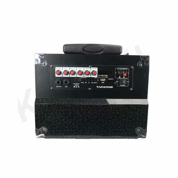 Tagwood LTS-10A Portable Multi Functional Speaker
