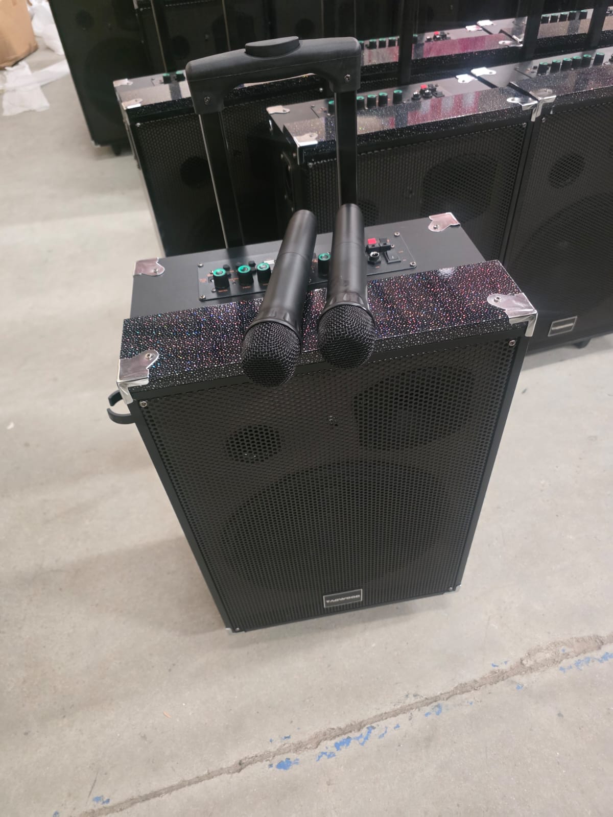 TAGWOOD LTS-12A 12000W Out-Door Subwoofer Multimedia Speaker With Li-Battery ,Wireless Mic, Bluetooth