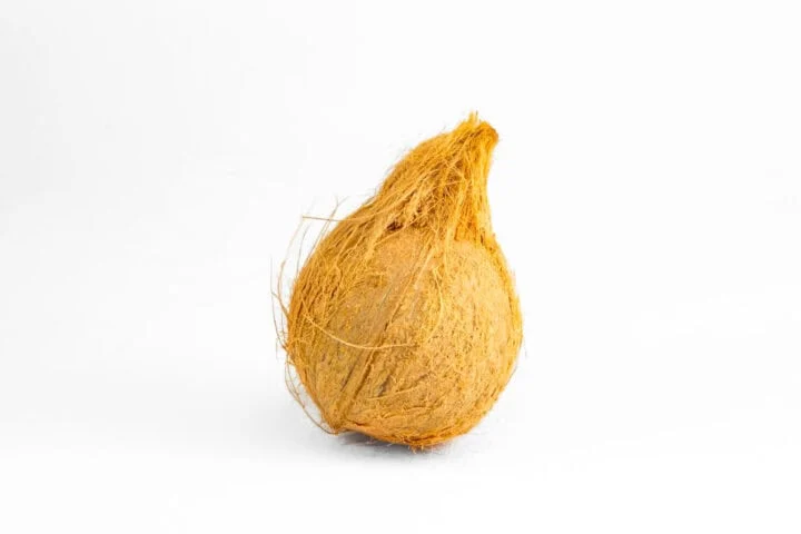Coast Coconuts - 1 Piece