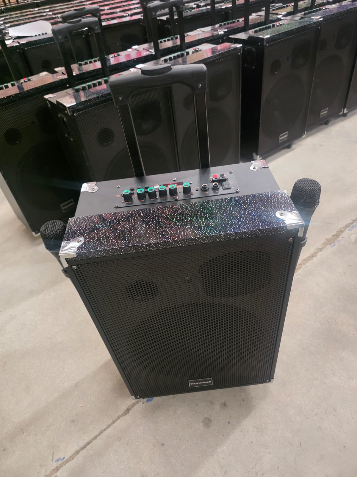 TAGWOOD LTS-12A 12000W Out-Door Subwoofer Multimedia Speaker With Li-Battery ,Wireless Mic, Bluetooth