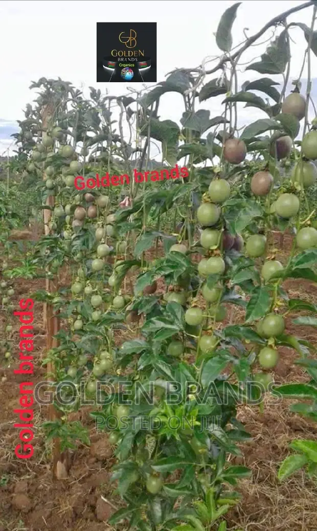 Passion Fruits Farming Guide Book