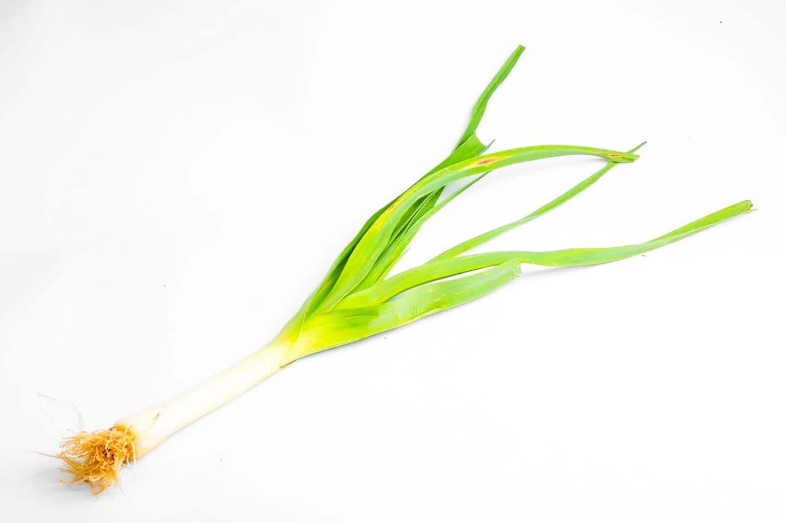 Organic Leeks – 1Kg