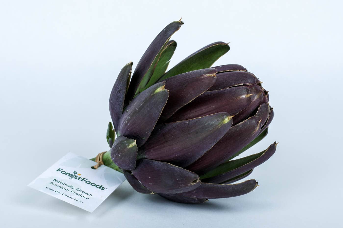 ForestFoods Certified Organic Artichoke – Approx. 150g