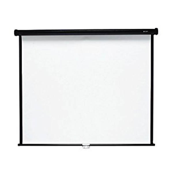 Projector Screen Wall Mount 70X70 Inches
