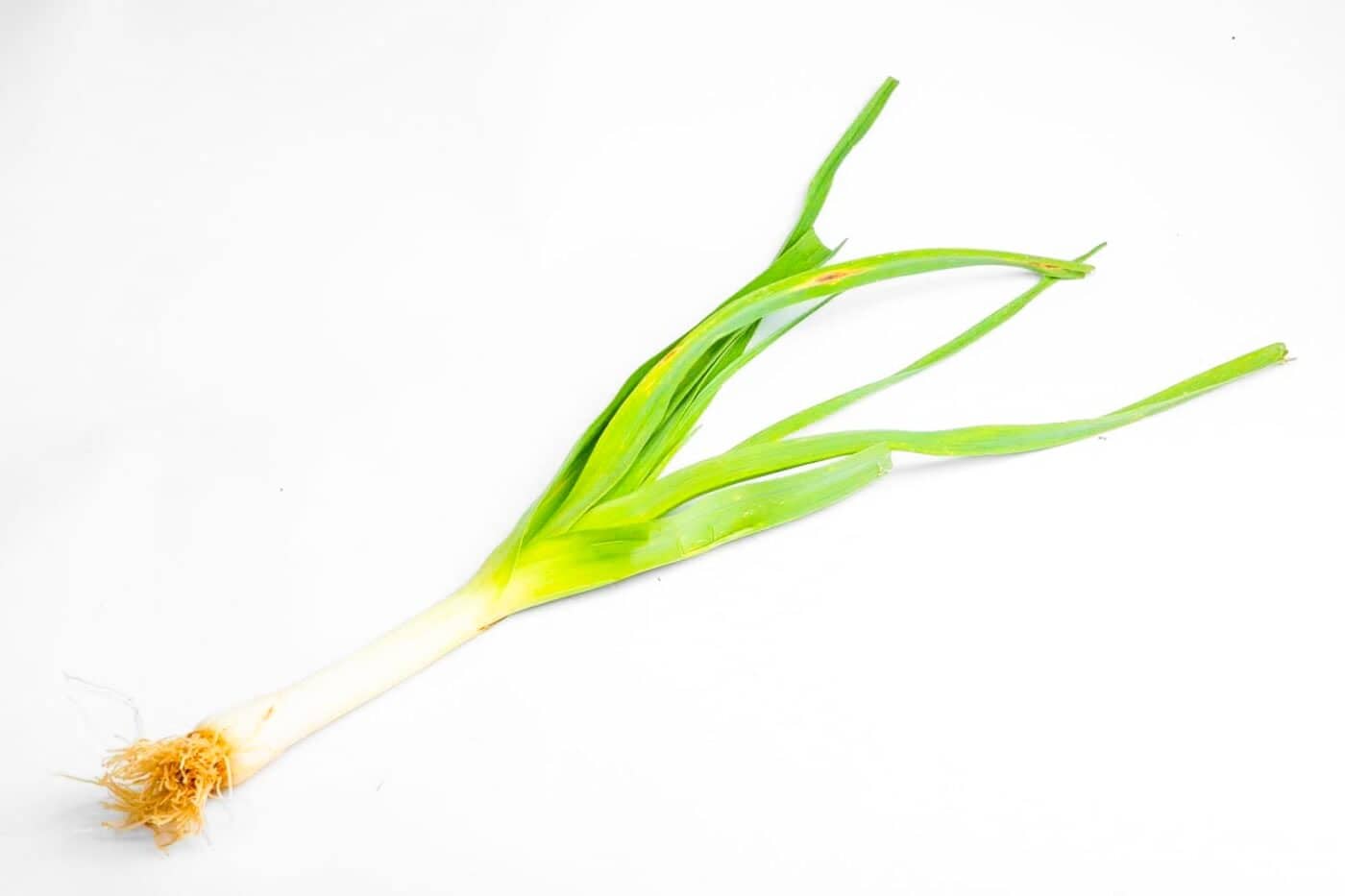 Organic Leeks – 1Kg