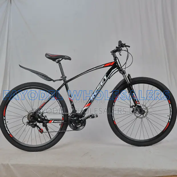 Reset Sports MTB 29" – High Performance Adult Bike