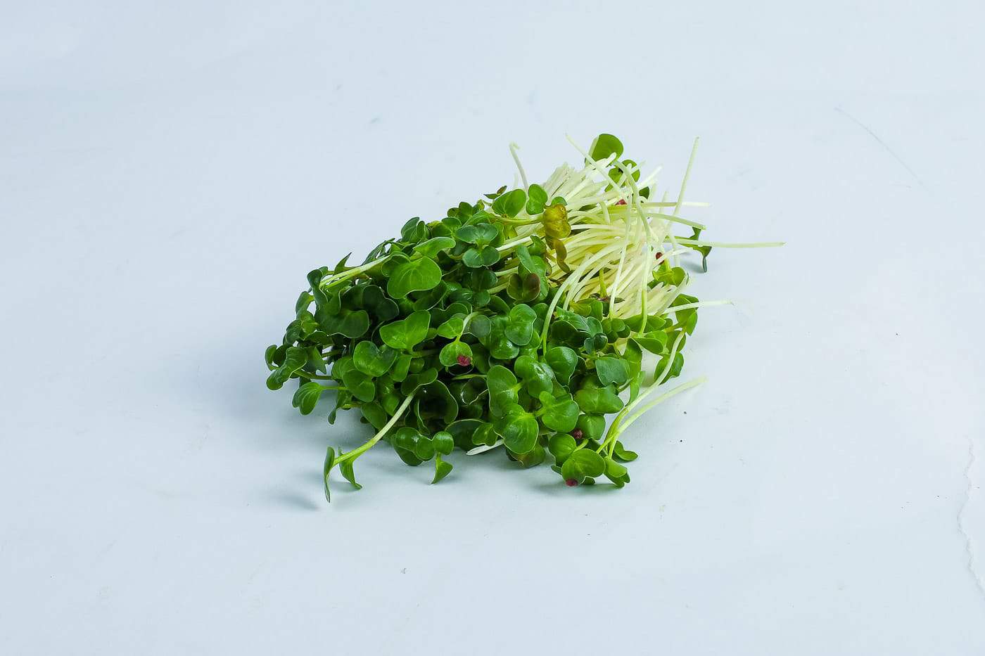 Organic Radish Microgreens – 50g