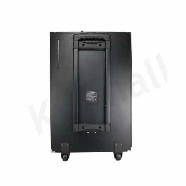 TAGWOOD LTS-15A Outdoor Speaker With Bluetooth,FM Radio, 15000w Pmpo