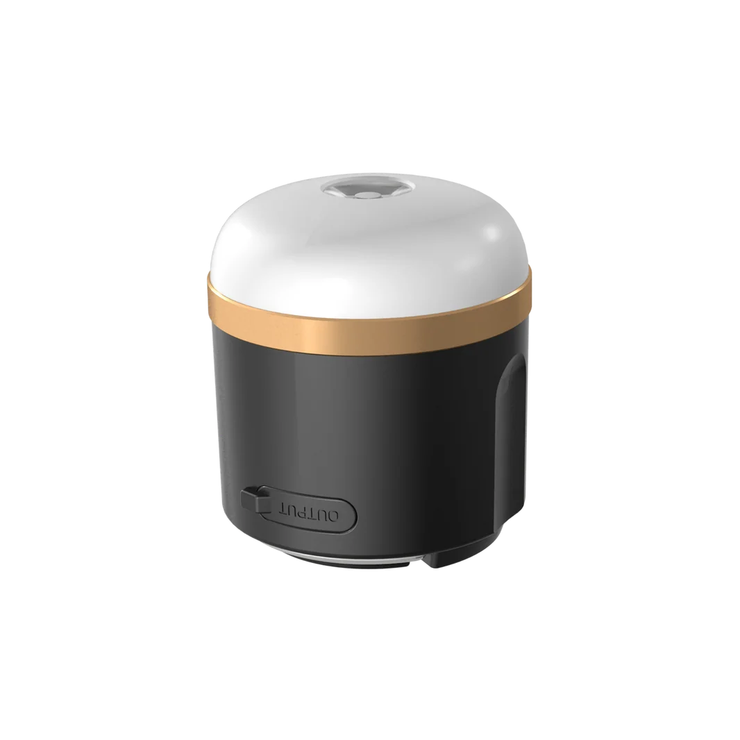 EcoFlow Camp Torch