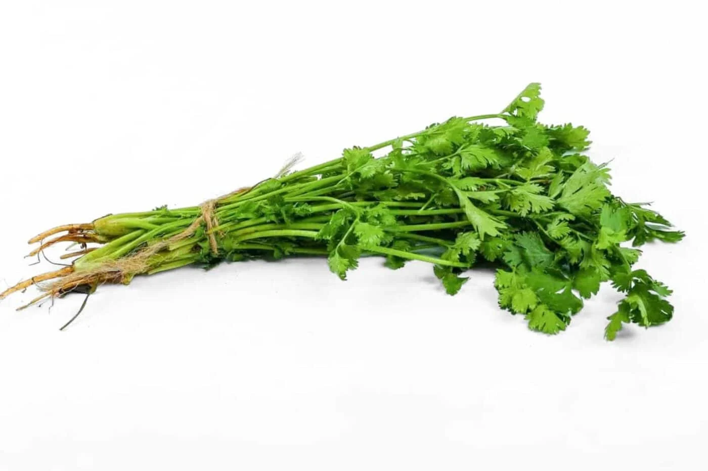 Limuru Coriander (Dhania) Bunch – 50g