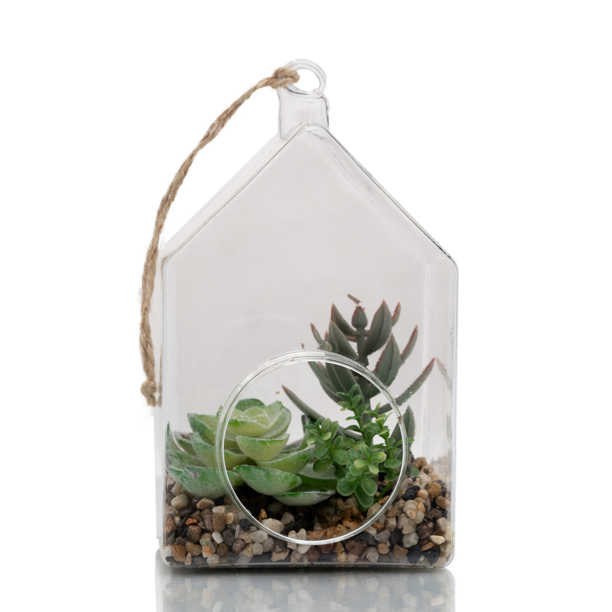 Hanging Glass Terrarium – H02FL397