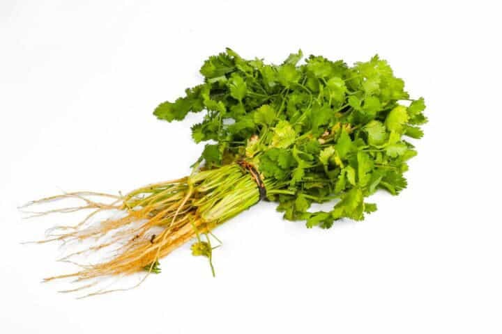 Mlango Farm Organic Coriander/ Dhania (Bunch)