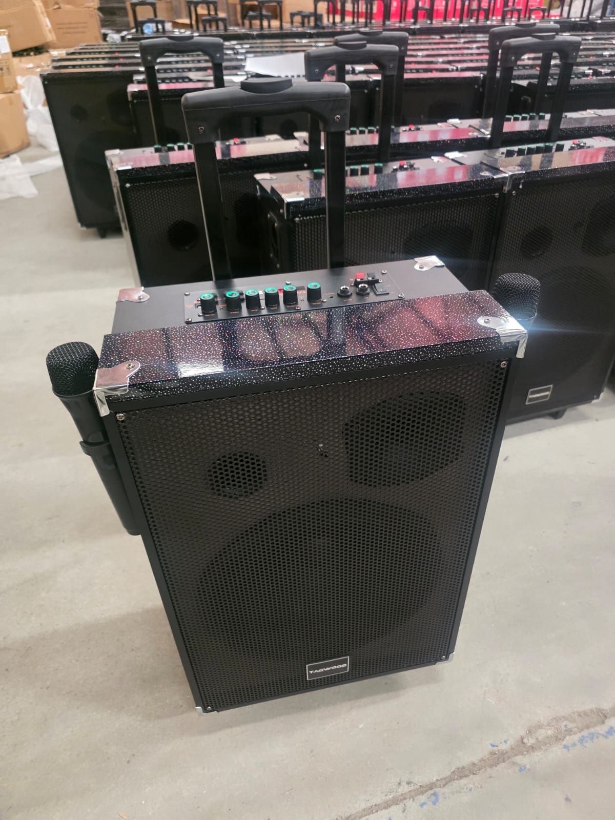 TAGWOOD LTS-12A 12000W Out-Door Subwoofer Multimedia Speaker With Li-Battery ,Wireless Mic, Bluetooth