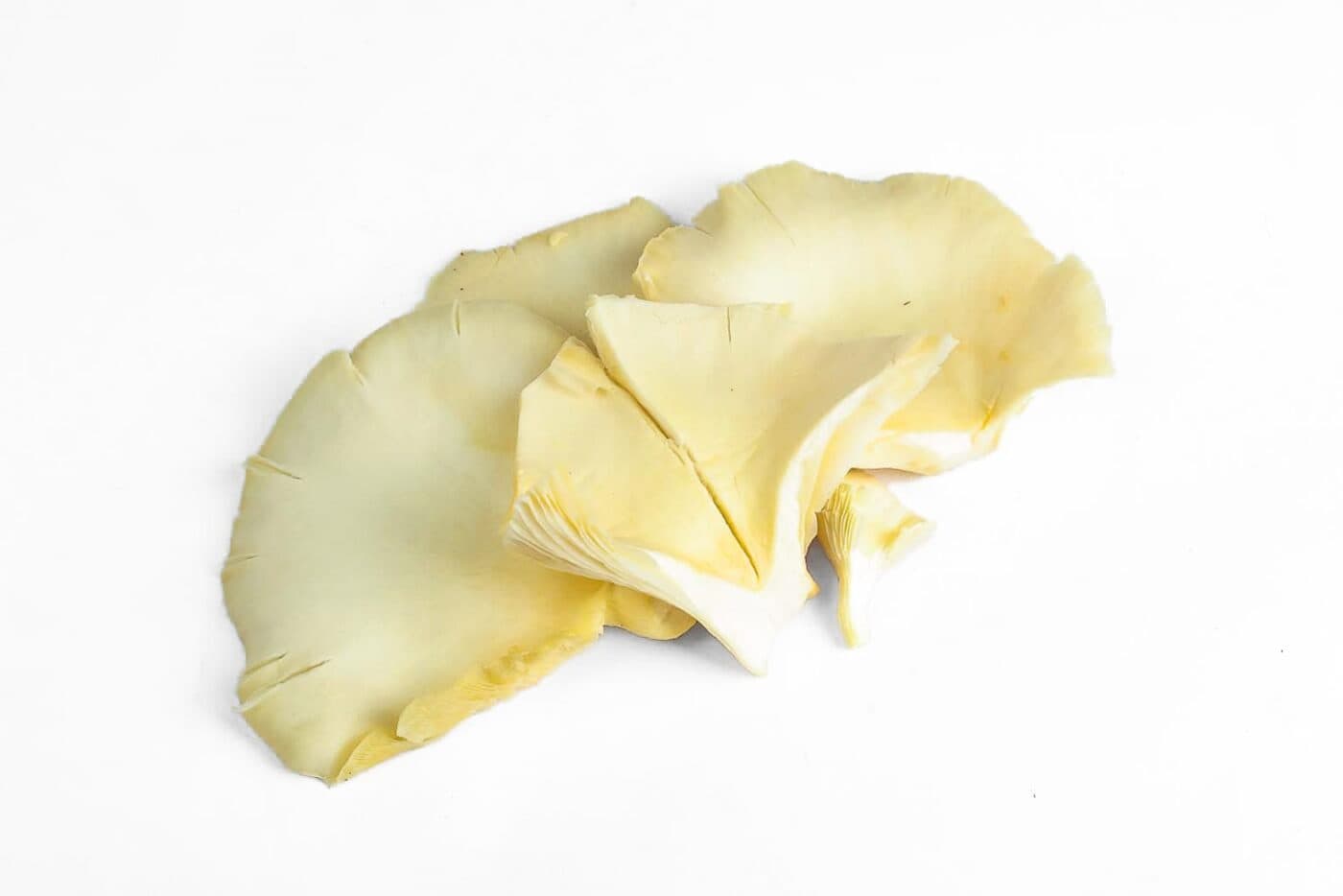 Organic Oyster Mushrooms – 250g