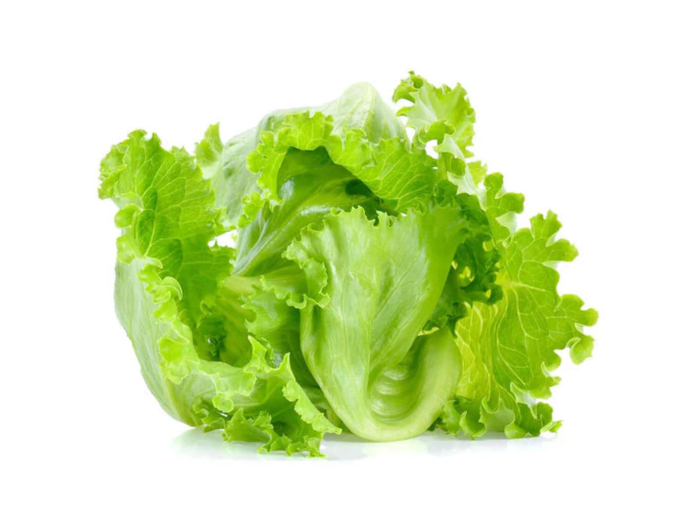 Fresh Iceberg Lettuce (Loose)