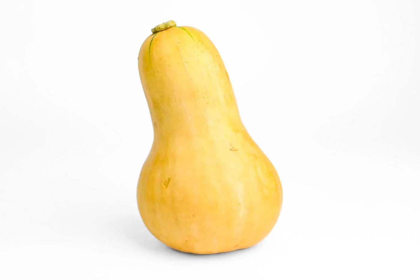 Butternut – 1 Piece (Approx. 0.8Kg-1.2Kg)