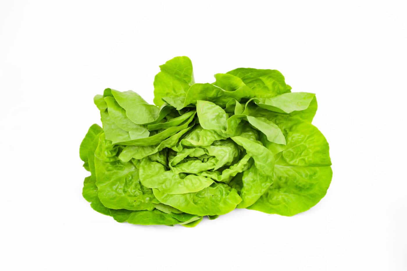 Organic Blond Butterhead Lettuce (Piece)