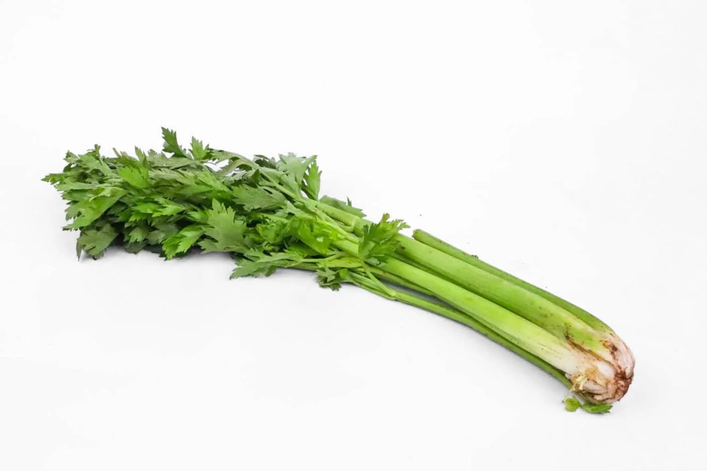 Organic Celery – Bunch